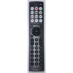 HISENSE EN2E36H REMOTE CONTROL