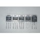 2SC2665 Transistor (5 pcs)