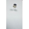 2N5416 MOTOROLA Transistors