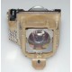 BENQ 59.J9301.CG1 PROJECTOR LAMP 59J9301CG1 - NEW