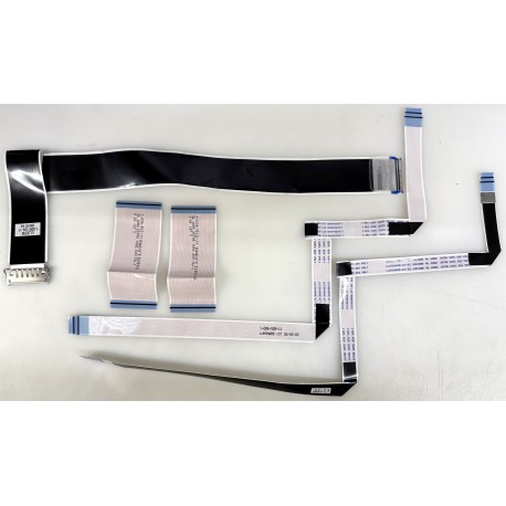 SONY XBR-55X800H FFC 2 SET
