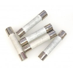 Conquer ABE 18A 250V Microwave Oven Fuse (pack of 5)